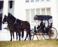 Quartz Mountain Carriage Co. Tom has over 30 years driving experience. Make any event one to remember with a horse drawn carriage.