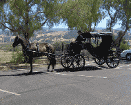 Quartz Mountain Carriage Co. Tom has over 30 years driving experience. Make any event one to remember with a horse drawn carriage.