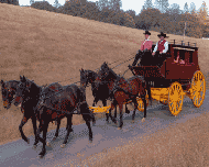 Quartz Mountain Carriage Co. Tom has over 30 years driving experience. Make any event one to remember with a horse drawn carriage.