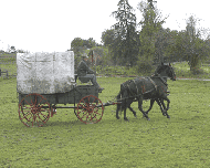Quartz Mountain Carriage Co. Tom has over 30 years driving experience. Make any event one to remember with a horse drawn carriage.